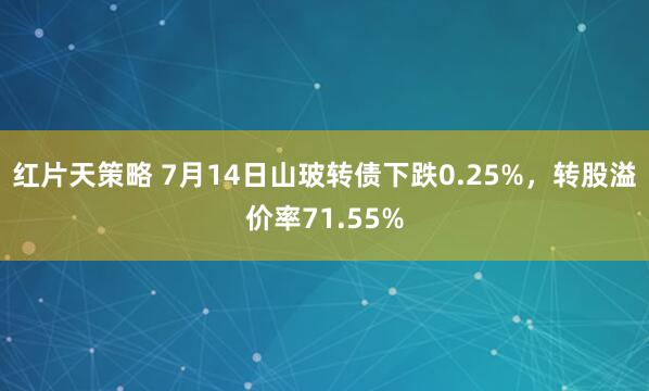 红片天策略 7月14日山玻转债下跌0.25%，转股溢价率71.55%