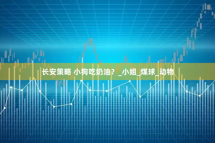 长安策略 小狗吃奶油？_小姐_煤球_动物