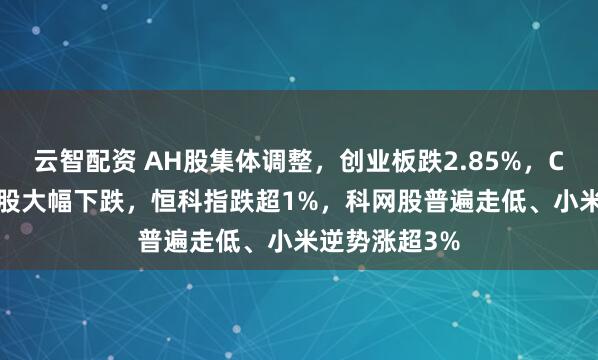 云智配资 AH股集体调整，创业板跌2.85%，CPO等AI硬件股大幅下跌，恒科指跌超1%，科网股普遍走低、小米逆势涨超3%